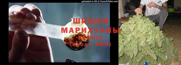 Альфа ПВП Нея