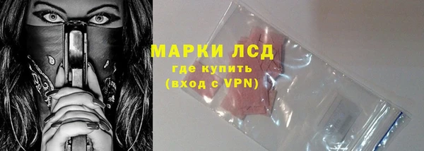 СК Новодвинск