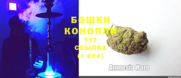 Альфа ПВП Нея