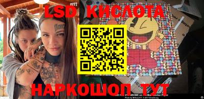 гашик Гатчина