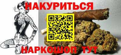 гашик Гатчина